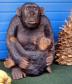 Schimpanse / Menschenaffe 100cm / Bananenstauden